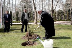 روحانی: هر کسی یک نشانی به نام درخت از خودش باقی بگذارد