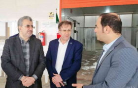 تامین مالی ۴۰۳ میلیارد ریالی سه طرح شاخص استانی از سوی بانک توسعه تعاون در بوشهر
