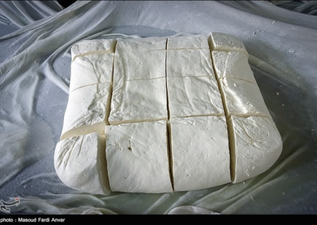 وزارت بهداشت مجوز تولید پنیر از شیر الاغ صادر نکرده است