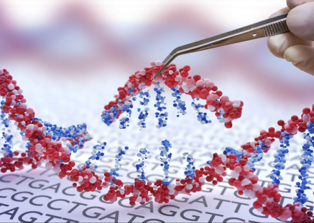 امکان طراحی و ساخت انواع نانوکارخانه‌ها با مهندسی DNA