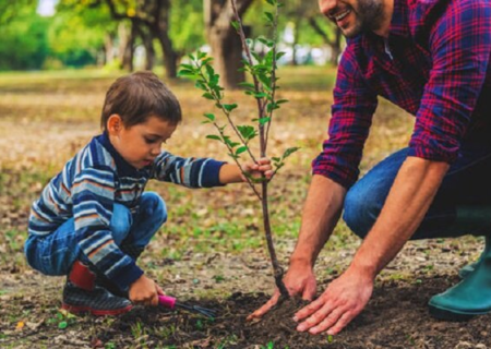 گام‌های بزرگ برای راه‌اندازی نهالستان