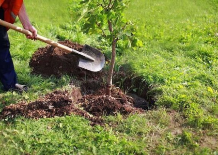 دیگران کاشتند و ما خوردیم، ما بکاریم و دیگران بخورند