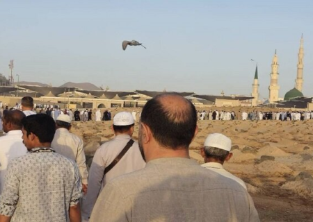 زائران در ایام میلاد پیامبر به زیارت جنت البقیع مشرف شدند