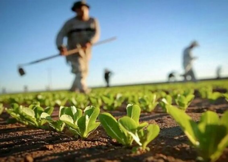 تعاونی روستایی حامی طرح‌های نوین کشاورزی