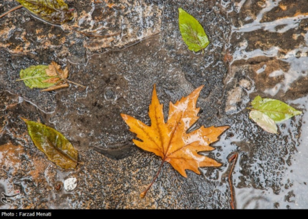 هواشناسی ایران۱۴۰۳/۸/۱۴؛ رگبار باران در تهران و ۲۳ استان