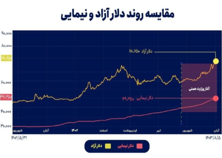 افزایش قیمت دلار، نتیجه تحریک نرخ نیما