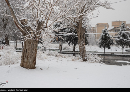 هواشناسی ایران۱۴۰۳/۱۱/۸؛بارش شدید برف و باران در ۱۰ استان