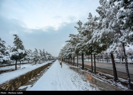 هواشناسی ایران۱۴۰۳/۱۰/۱۹؛سامانه بارشی شنبه وارد کشور می‌شود