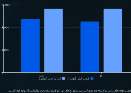 فرصت‌سوزی و انفعال در تجارت با روسیه برای تنظیم بازار نهاده