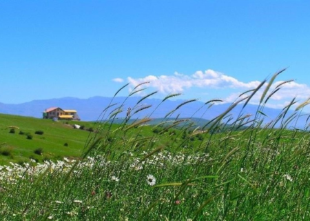 &quot;دشت مغان&quot; خط مقدم دفاع تاریخی از مرزهای ایران‌زمین