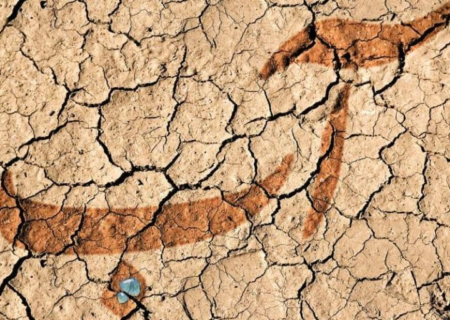 آبفا چگونه مصرف آب را افزایش داد؟!