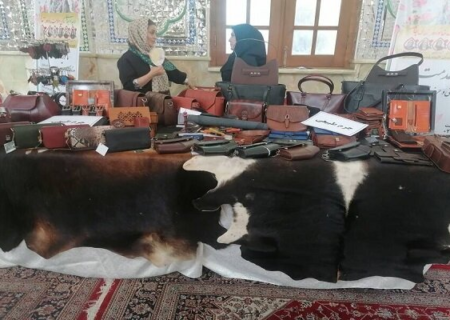 رویداد جهادی زنان و سلامت خانواده با همکاری سازمان بهزیستی برگزار شد