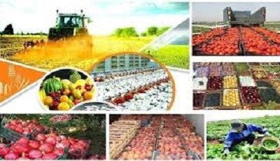 کدام خوراکی‌ها بیشترین و کمترین تورم را داشتند؟