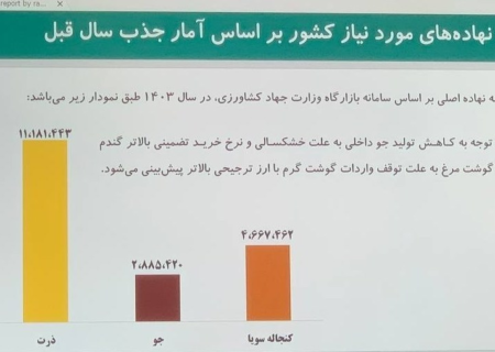 چرا مرغ گران شد؟/کاهش ۶ درصدی واردات نهاده‌ در سال جدید
