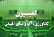 نوری قزلجه برای پاسخگویی درباره گرانی گوشت به کمیسیون کشاورزی می‌آید