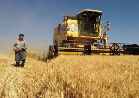 هشدار درباره ذخیره کالاهای اساسی/نرخ خرید گندم کمتر از ۳۰هزار تومان نباشد