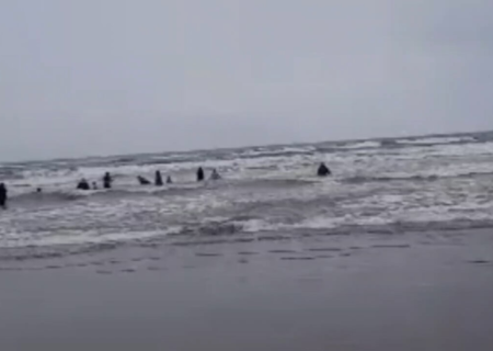 هشدار فوری هلال‌احمر و ناجیان غریق درباره شنا در دریای توفانی