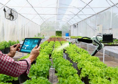 بازنگری در مدل‌های توسعه گلخانه‌ها با فناوری‌های نوین