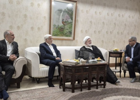 عارف با کروبی دیدار کرد
