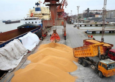 رانت میلیاردی با «کشتی‌های شبح»/ رونمایی از تخلف جدید امپراطور واردات نهاده های دامی