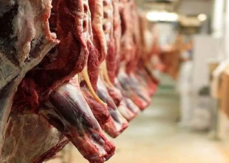 گوشت‌های مغولی توقیف شده آلوده نیست!