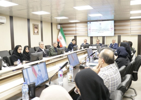 میرزایی: تحلیل مسائل جامعه نیازمند مدلهای میان رشته‌ای است