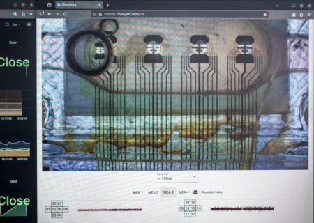 فعالسازی رایانه با مینی مغزهای انسان ممکن می‌شود