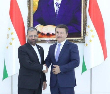 تاکید سفیر کشورمان بر تشکیل «کمیته مشترک سلامت» ایران و تاجیکستان