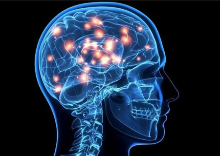 مدل چاپ سه بعدی مغز انسان ابداع شد