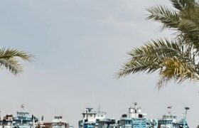 بندر زیبا و دیدنی دیلم +تصاویر