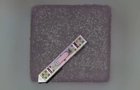 قدرت خواندن ذهن از طریق یک دانه نمک!