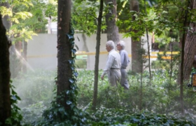 اشتغال بازنشستگان در تاکسی‌های اینترنتی قانونی می‌شود