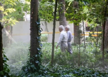 اشتغال بازنشستگان در تاکسی‌های اینترنتی قانونی می‌شود