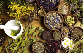 رئیس پژوهشکده گیاهان دارویی جهاددانشگاهی منصوب شد