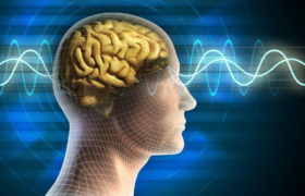 نرم افزار جدید شبیه سازی مغز را ارتقا می دهد