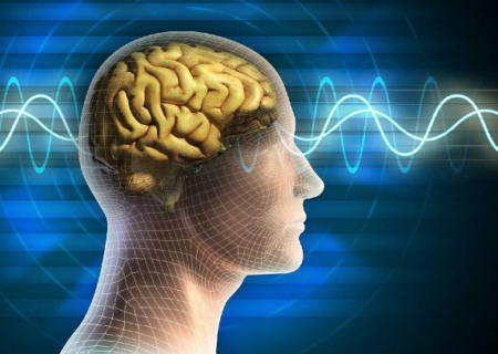 نرم افزار جدید شبیه سازی مغز را ارتقا می دهد