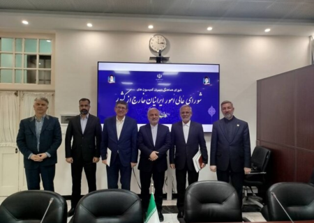 آخرین وضعیت اجرای قانون حمایت از ایرانیان خارج از کشور از زبان معاون عراقچی