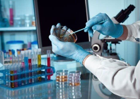 فراخوان مشارکت دانشجویان دکتری در برنامه دانشمندان جوان مؤسسه IIASA