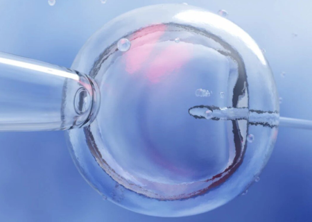 تخمک‌های انسان جوانسازی شد؛ افزایش باروری در زوج‌های سن بالا