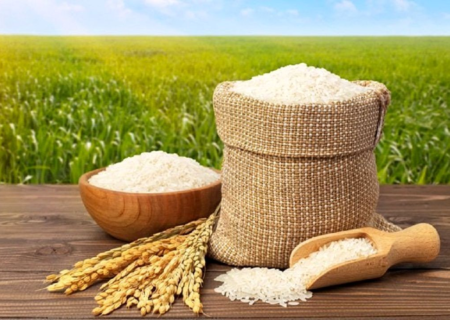 پیش بینی قیمت برنج پس از ارز ترجیحی