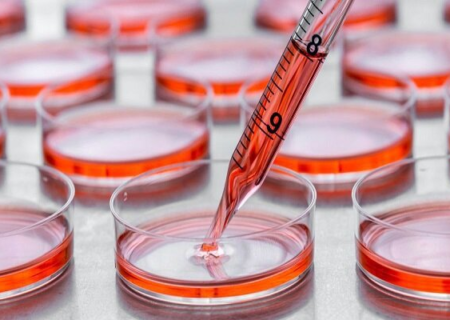 چاپ سه بعدی داخل سلول زنده ممکن شد