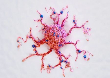 امیدهای تازه‌ برای درمان سرطان‌های مغزی