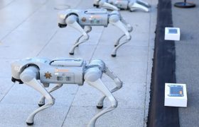 سگ‌های روباتیک نگهبان جام جهانی فوتبال ۲۰۲۶ می‌شوند