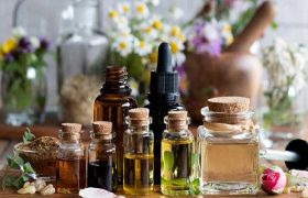 ارتقای دانش تجاری‌سازی و استانداردهای تولید در حوزه گیاهان دارویی