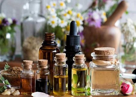 ارتقای دانش تجاری‌سازی و استانداردهای تولید در حوزه گیاهان دارویی